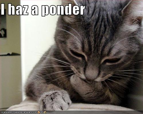 [funny-pictures-cat-is-pondering.jpg]