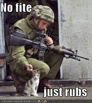 [funny-pictures-soldier-and-cat.jpg]