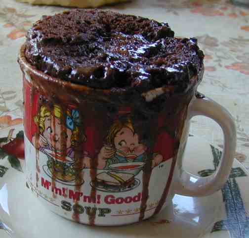 [mugcake.jpg]