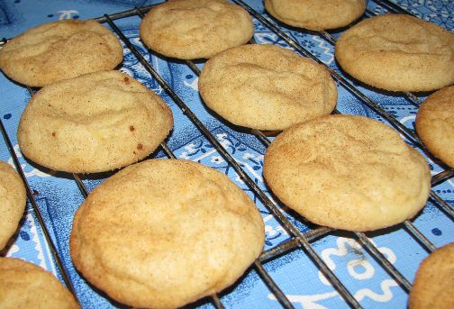 [snickerdoodles+small.jpg]