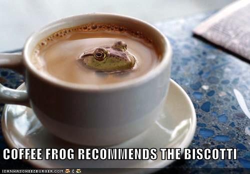 [funny-pictures-coffee-frog-biscotti3.jpg]