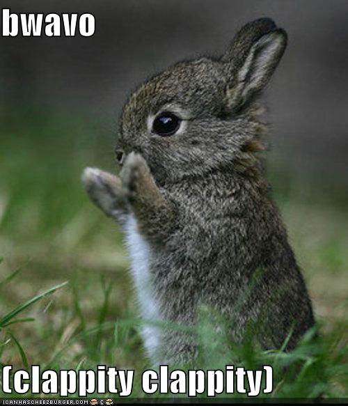 [funny-pictures-bravo-bunny.jpg]